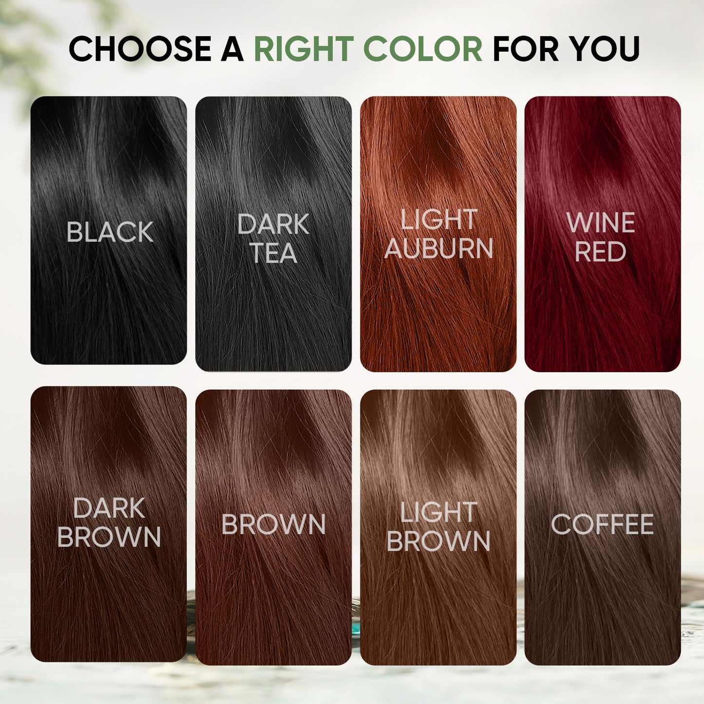 FARNDU-Hair Dye Shampoo, Gray Hair Coverage, 3 in 1 (+Shampoo+Conditioner), 10 Mins Hair Color, Glossy and bright, For Men & Women with All Hair Types, Long Lasting, Plant extracts, Fruity aroma Ammonia-Free Mild (400 mL)